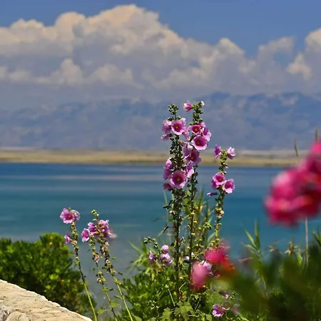 Lipa Mit Schwimmbad By Interhome 프리블라카